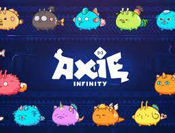 Axie Infinity