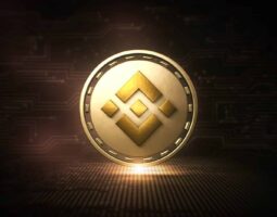 Binance Coin (BNB)