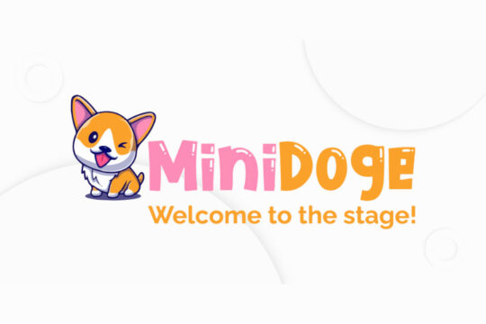 Mini Doge (MINIDOGE)
